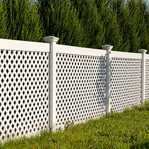 Fence Installation 