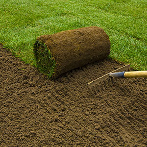 Sod Services